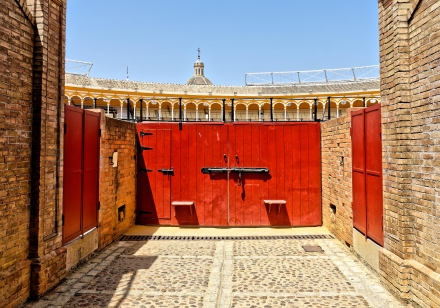 Plaza de Toros de la Maestranza - Séville - Andalousie - Espagne - 01/08/18