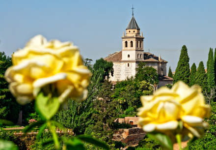 L’Alhambra de Grenade en Andalousie - Espagne - 06/08/18