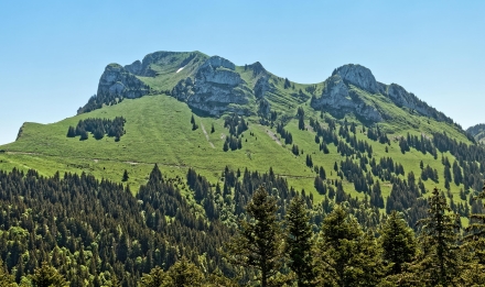 Mont Billiat - Vailly - 13/06/21