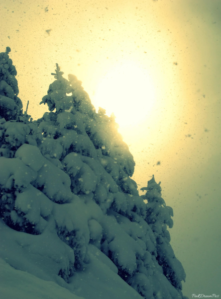 Station de Châtel - Haute-Savoie - 09/02/13