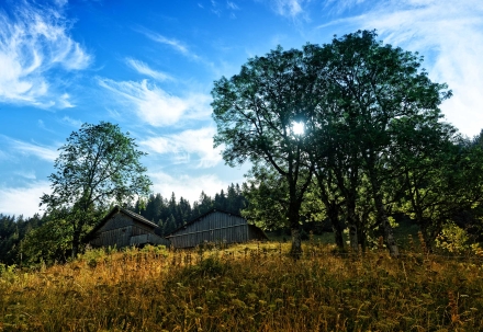Sur un chemin de randonnée - Megevette - 08/08/20