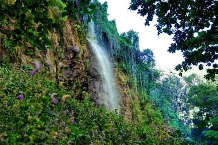 Anse des cascades - Sainte Rose - La Réunion 2023