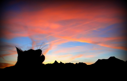 Lever du jour sur le Chablais - Haute-Savoie