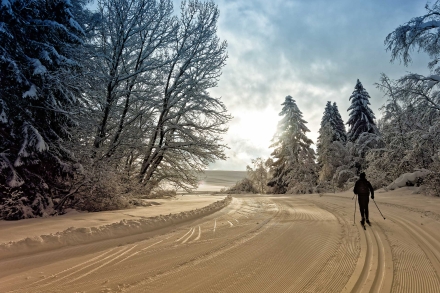 Le Plateau des Mouilles - Bellevaux - Haute-Savoie - 16/01/21