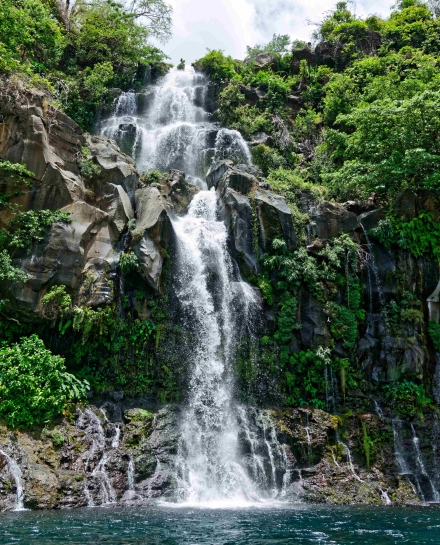 Bassin des Aigrettes - La Réunion - Janvier 2023