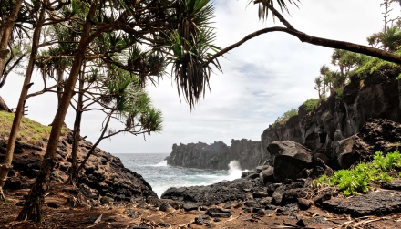 Le Cap Méchant - Saint-Philippe - La Réunion