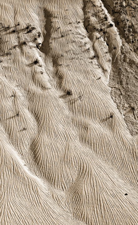 Station de Praz de Lys Sommand - Haute-Savoie - 16/03/19