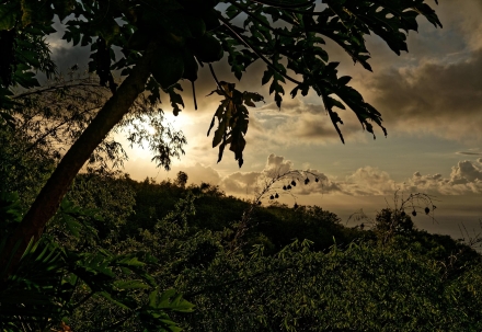 Coucher de Soleil depuis Les Hauts de Saint-Paul - La Réunion - 15/01/20