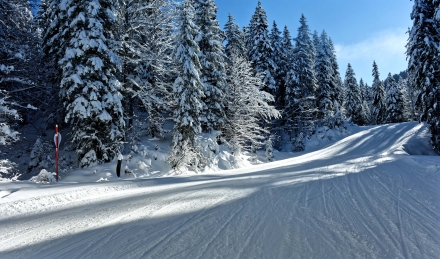 La Chèvrerie - Domaine du Roc d’Enfer - Bellevaux - Haute-Savoie - 10-01-22
