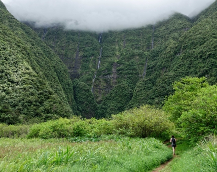 Cascade du Bras d'Anette - Grand Etang - La Réunion - Janvier 2023