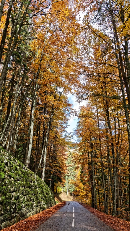 Automne à Lullin - Haute-Savoie - 24/10/20