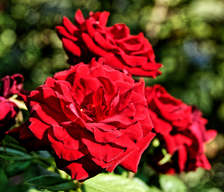 L’Alhambra de Grenade en Andalousie - Espagne - 06/08/18