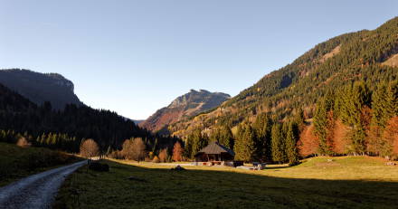Automne à La Chèvrerie - Bellevaux - Haute-Savoie - 31/10/15