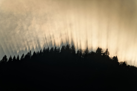 Jeux d’ombres sur les crêtes des Hermones - Reyvroz - 09/11/21