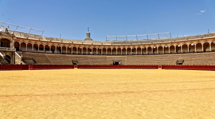 Plaza de Toros de la Maestranza - Séville - Andalousie - Espagne - 01/08/18