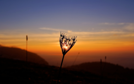 Coucher de Soleil - Jouvernaisinaz - Haute-savoie - 16/02/15