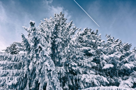 Le Plateau des Mouilles - Bellevaux - Haute-Savoie - 15/02/21