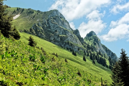 Le Mont Billiat - Vailly - 13/06/21