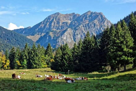 Le Roc d’Enfer - La Chèvrerie - Bellevaux - 29/09/17