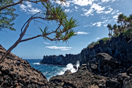 Le Cap Méchant - La Réunion 2023