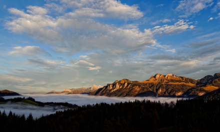 La Vallée du Brevon - 28/11/14