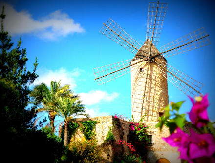 Un Moulin de Majorque - Espagne - 08/08/11