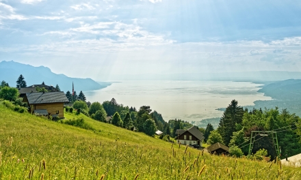 Le Lac Léman depuis les Hauteurs de Caux - Montreux - Canton de Vaud - Suisse - 17-06-21