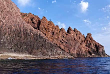 23-05-22 - Réserve de Scandola