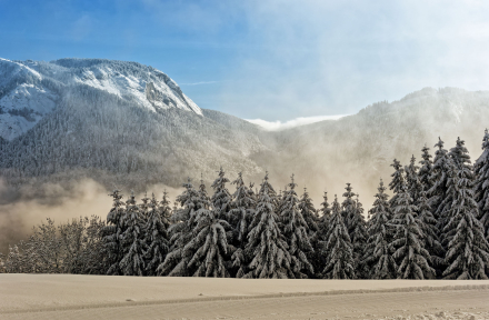 Plateau des Mouilles - Bellevaux - Haute-Savoie - 16-01-21