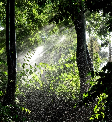 L’Alhambra de Grenade en Andalousie - Espagne - 06/08/18