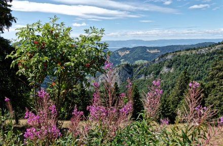 Du côté du village de La Buchille - Haute-Savoie - Août 2023