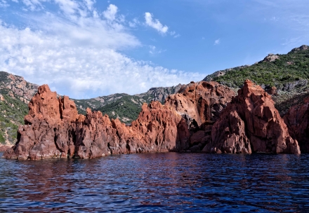 23-05-22 - Réserve de Scandola