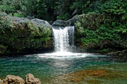 Bassin Jar - Rivière Langevin - La Réunion - Janvier 2023