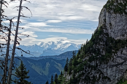 Le Mont-Blanc avec la Pointe d’Ireuse au premier plan - Bellevaux - Haute-Savoie - 17/08/19
