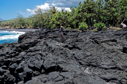 Souffleur d'Arbonne - La Réunion - Janvier 2023