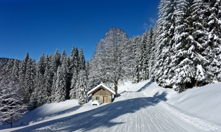 La Chèvrerie - Domaine du Roc d’Enfer - Bellevaux - Haute-Savoie - 10-01-22