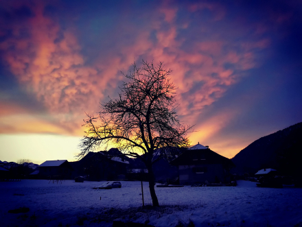 Lever du jour sur Reyvroz - Haute-Savoie - 12/02/16