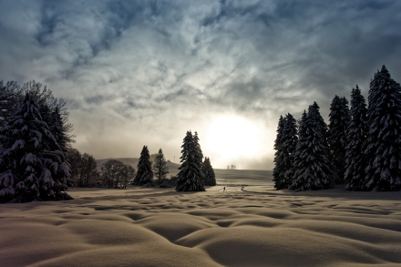 Le Plateau des Mouilles - Bellevaux - Haute-Savoie - 16/01/21