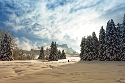 Le Plateau des Mouilles - Bellevaux - Haute-Savoie - 16/01/21