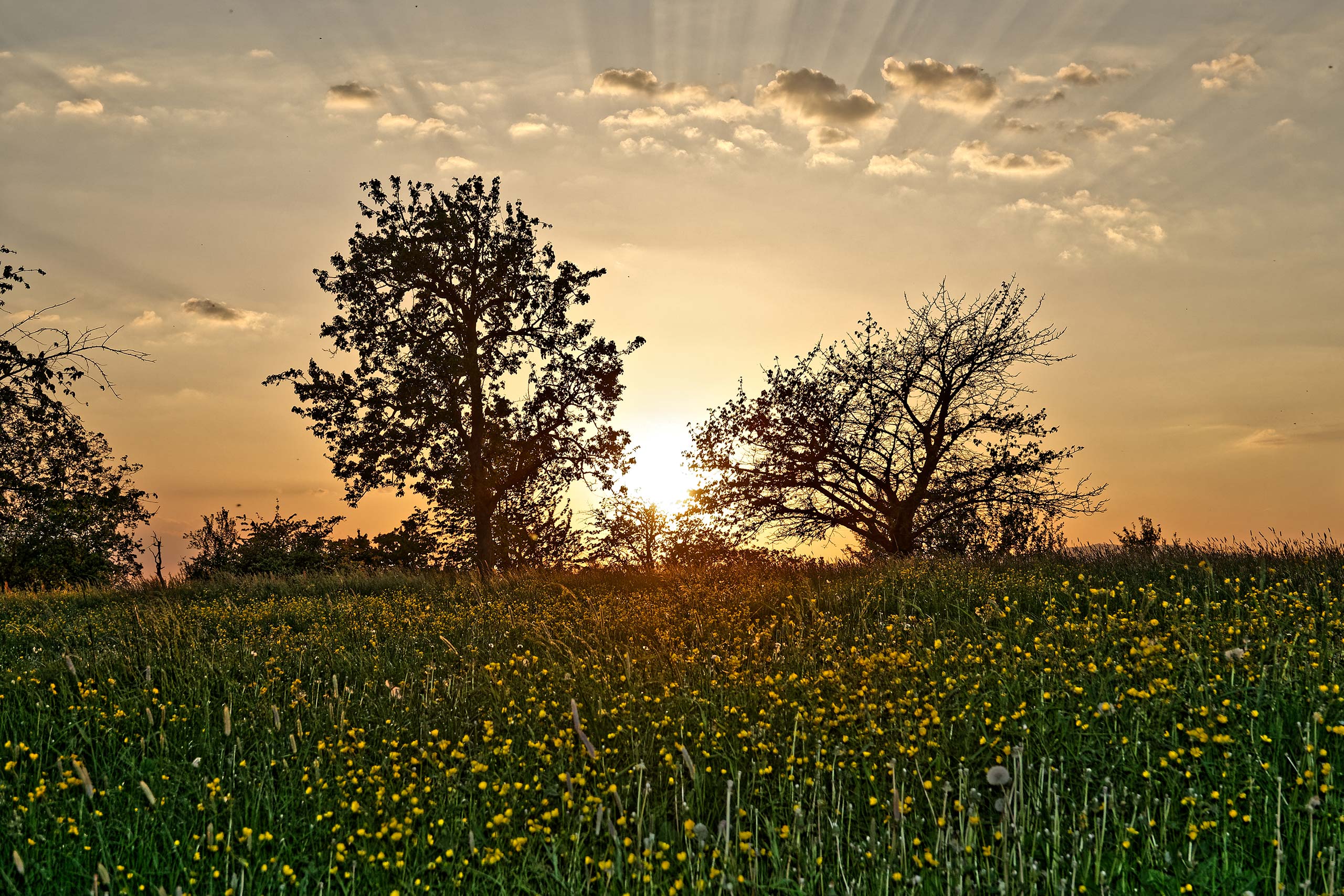 Coucher de Soleil - Eglingen - Alsace - 06/05/18