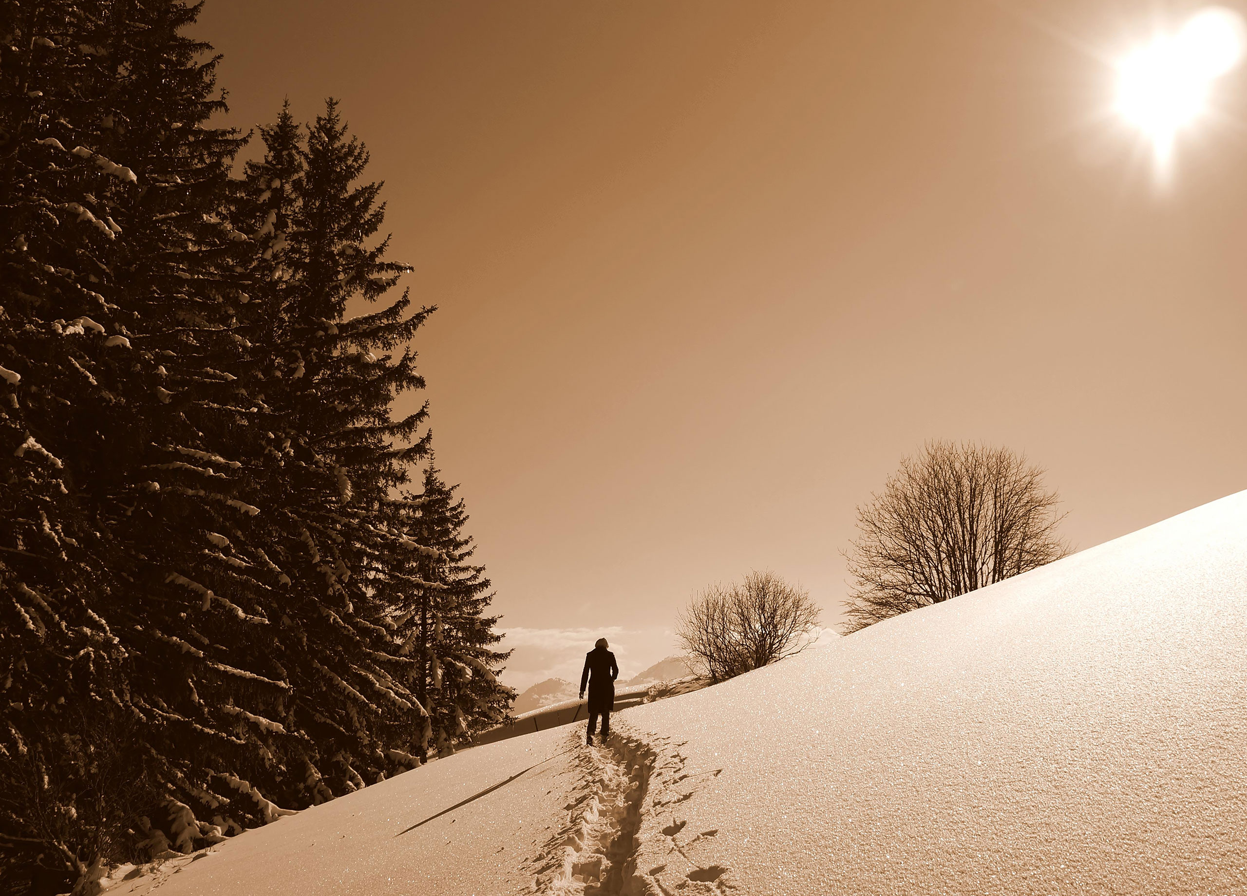 Quelques pas dans la neige - Col Du Feu - Lullin - Haute-Savoie - 18/02/13
