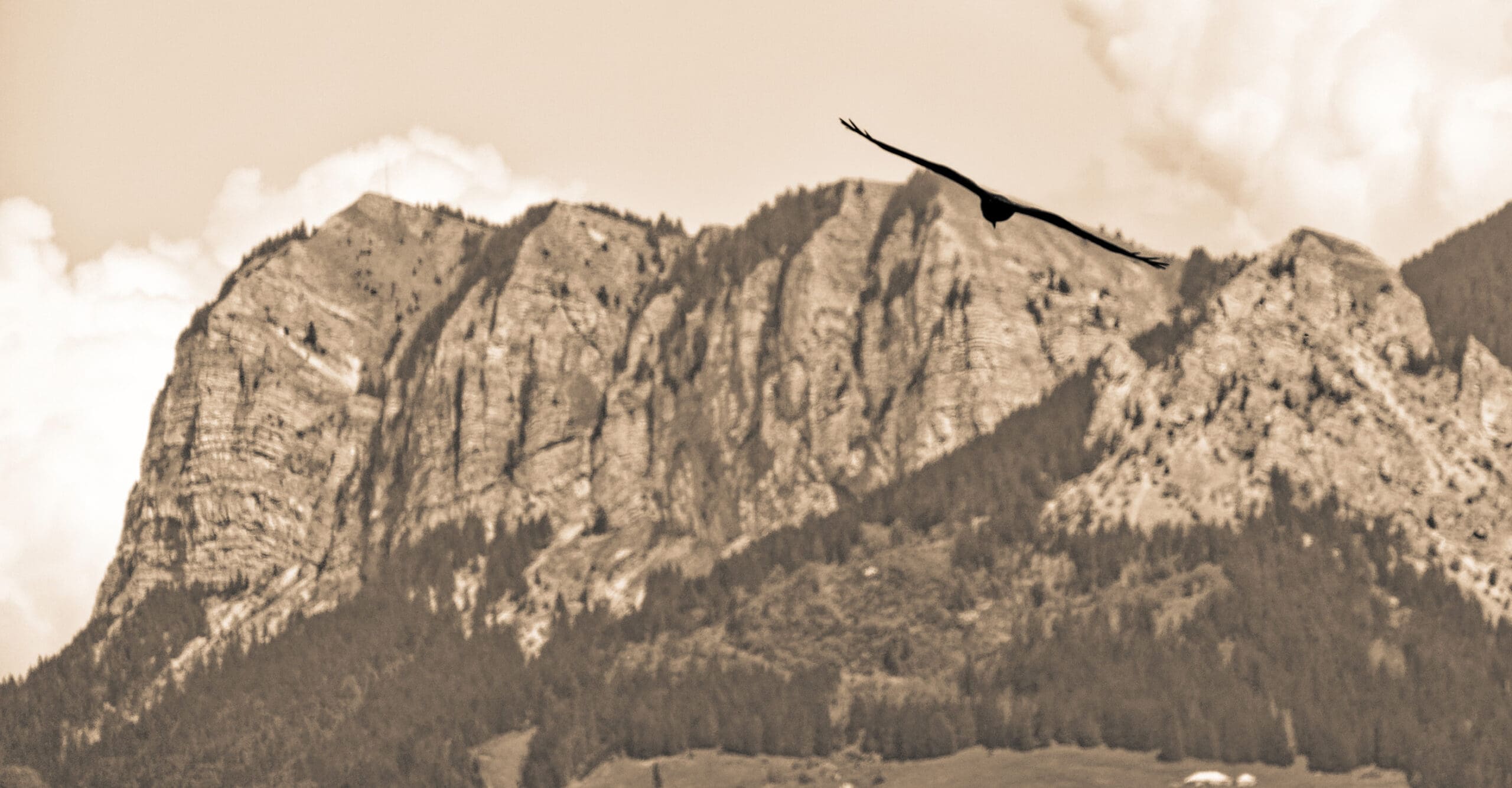 Le Balcon des Mémises - Bernex - Haute-Savoie - 10/05/20