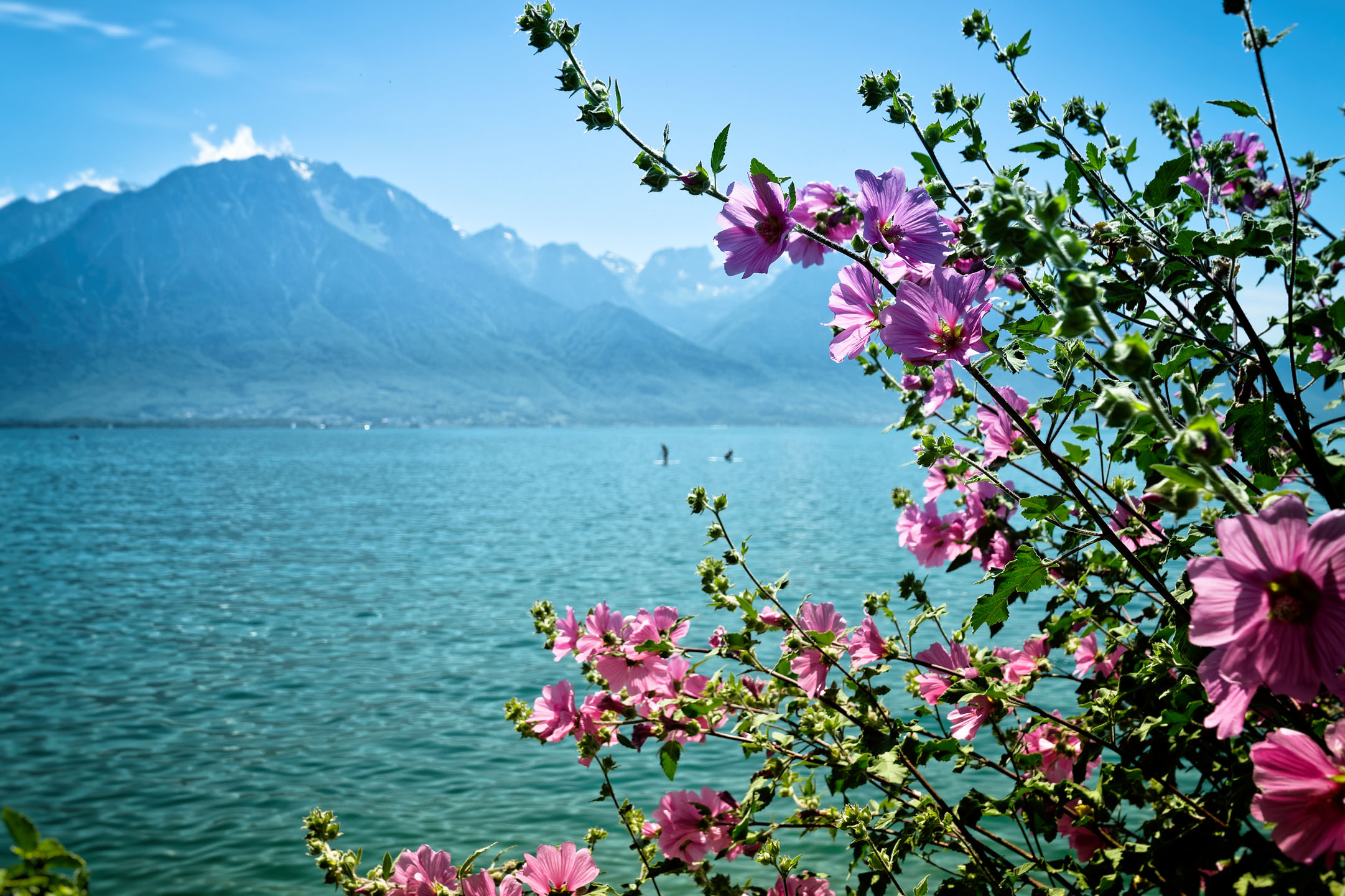 Les Quais de Montreux - Lac Léman - Canton de Vaud - Suisse - 26/06/21
