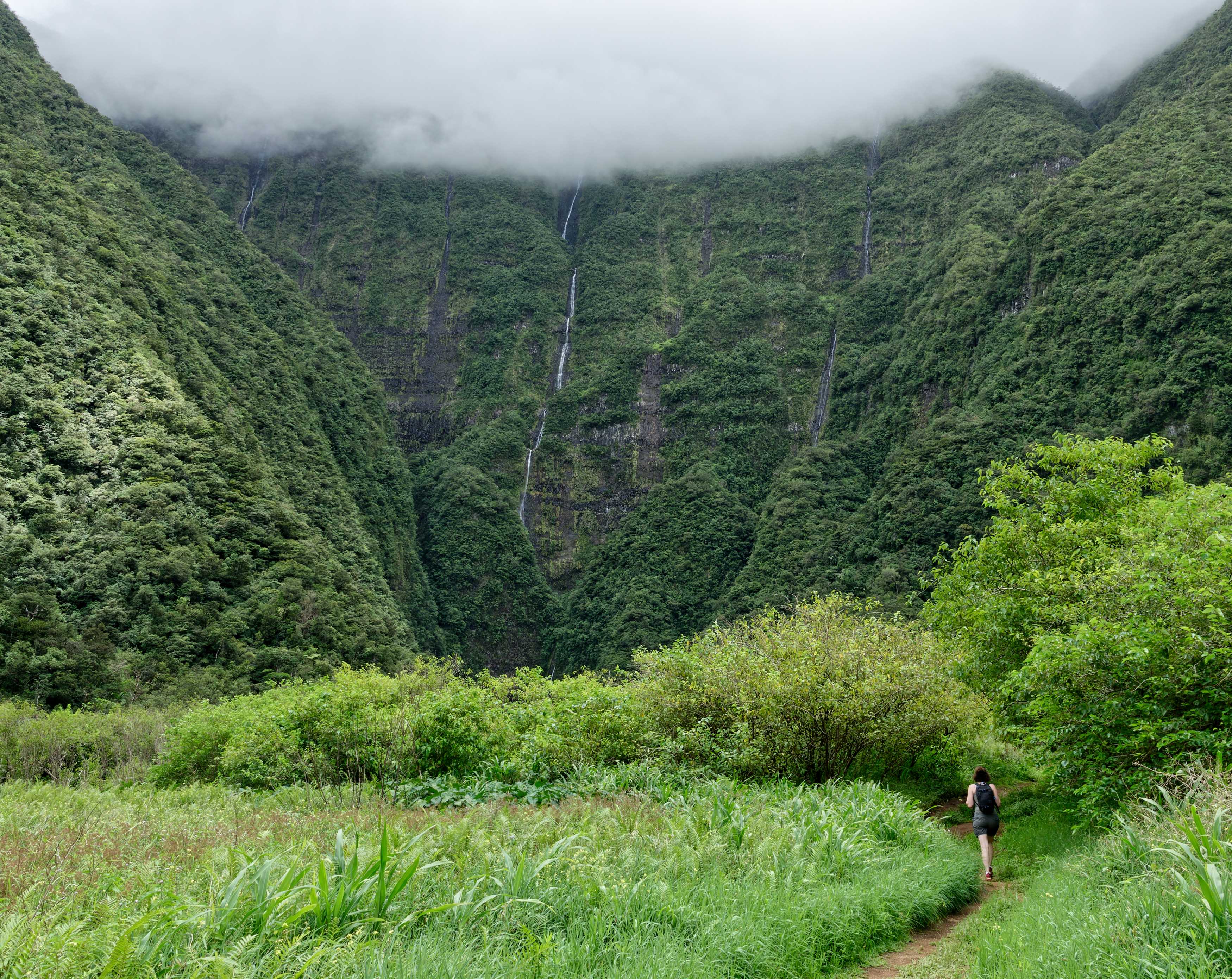 Cascade du Bras d'Anette - Grand Etang - La Réunion - Janvier 2023