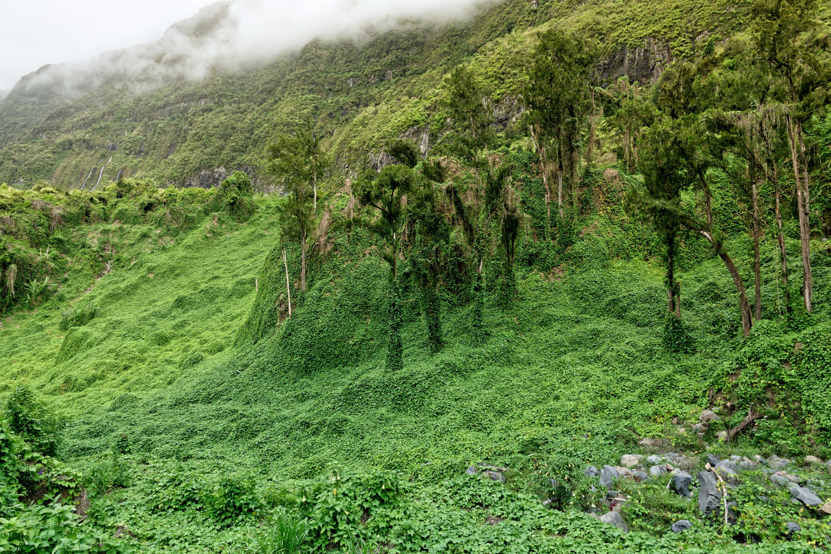 Cirque de Salazie - La Réunion 2023